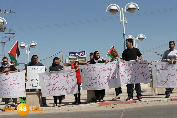 waqfaludn329 (14).jpg